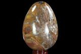 Colorful, Polished Petrified Wood Egg - Triassic #92413-1